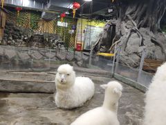 -上海大自然野生昆虫馆(东方明珠·爬宠昆虫探索中心)