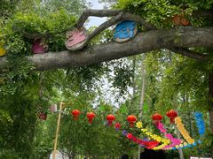 -合肥滨湖国家森林公园