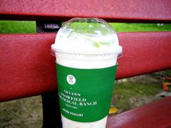 牛油果酸奶-茉酸奶(春熙路店)