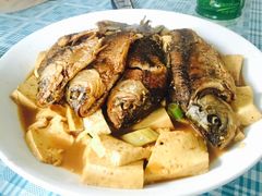-下河湾农家乐