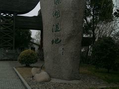 android_upload_pic-溱湖国家湿地公园