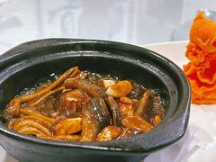 软兜长鱼-蒲鲜菜馆