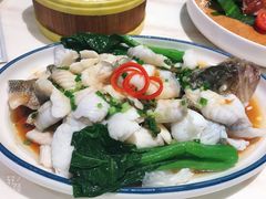 广式葱捞鲈鱼（嫩滑没什么刺哟）-顺粤楼·粤菜·点心(融创茂店)