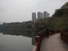 -重庆彩云湖湿地公园