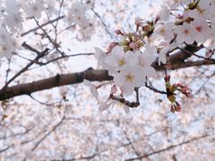 -龙美术馆(西岸馆)