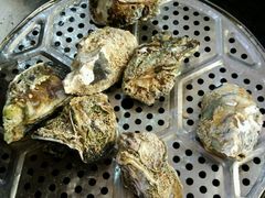 -蚝专家(北滘店)