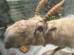 -北京中医药大学-中医药博物馆