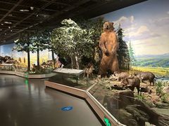 -陕西自然博物馆