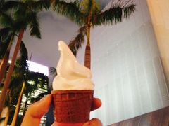 -富豪雪糕车流动点(尖沙咀店)