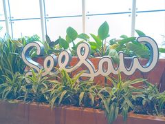 -Seesaw Coffee(朝阳大悦城店)