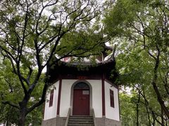 -上海佘山国家森林公园天马山园