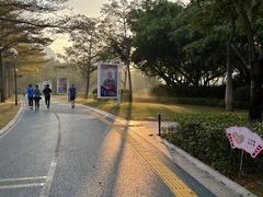 -白鹭洲公园