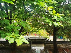 -香山公园