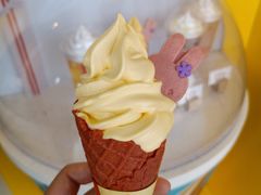 -麦当劳(石家庄乐活广场店)