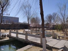-春风习习