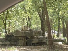 -秦皇岛野生动物园