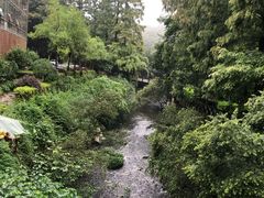 -宁海森林温泉