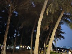 -深圳湾公园(南山区)