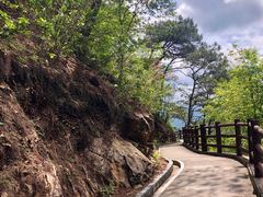 -羚羊峡古栈道森林公园