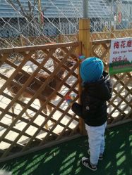 -萌宠亲子动物乐园(槐房万达店)