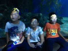 -暹罗海洋世界