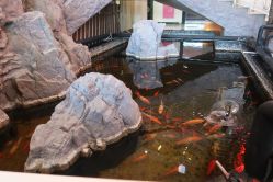 -五洲妇儿医院