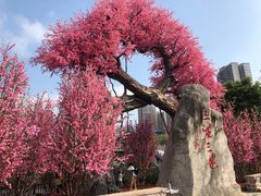 -昌州古城