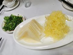 -丁老爷子苏香圆