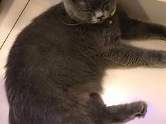 -平行世界·猫咖(首经贸店)