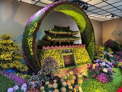 -杭州植物园