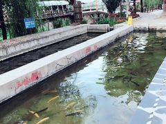 -北京水岸山吧度假村(雁栖镇店)