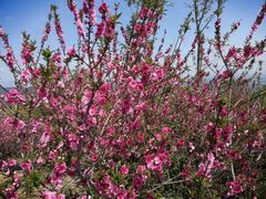 -北京西山国家森林公园