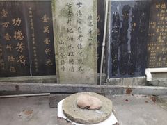 -杭州乐园