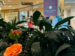 -PAUL LAFAYET 法式甜品(港汇广场店)