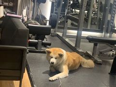 -YCHL Studios健身工作室(市二宫店)