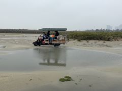 -北海金海湾红树林生态旅游区