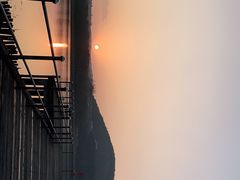 -长广溪湿地公园