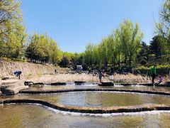 -青龙湖公园