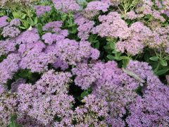 -野鸭湖国家湿地公园