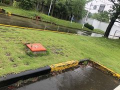 -胜华驾校·小猫学车(银都店)