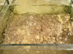 -北海（合浦）肥佬食街