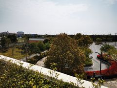 -迪士尼乐园停车场