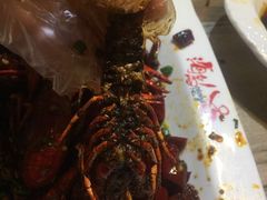 香辣小龙虾-海岛八号龙虾烧烤田鸡(蓝天路总店)