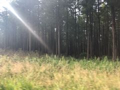 -塞罕坝国家级自然保护区