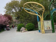 -黄村公园