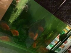 -华夏良子·足道SPA艾灸(王府井店)