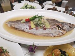 -凤栖酒店