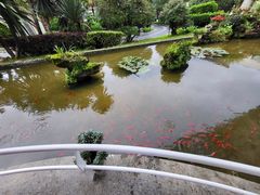 -官房大酒店•驼峰自助餐厅