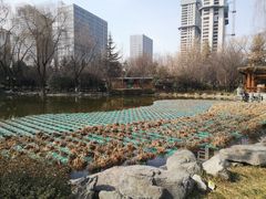-木塔寺遗址生态公园