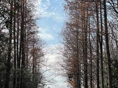 -狼山风景名胜区